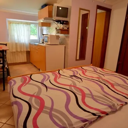 Apartman Studio In Varvari With Terrace, Air Conditioning, Wifi, Washing Machine 664-4 Porec