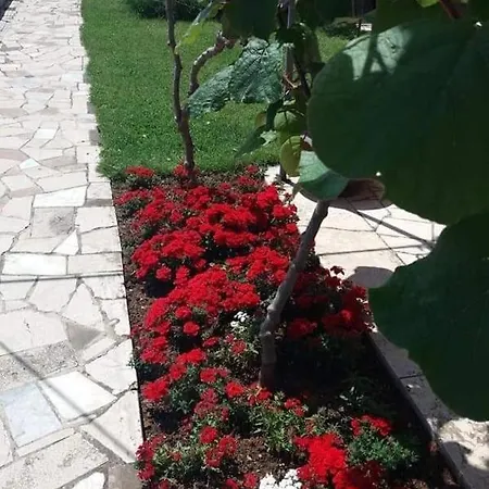 Apartman Studio In Varvari With Terrace, Air Conditioning, Wifi, Washing Machine 664-4 Porec